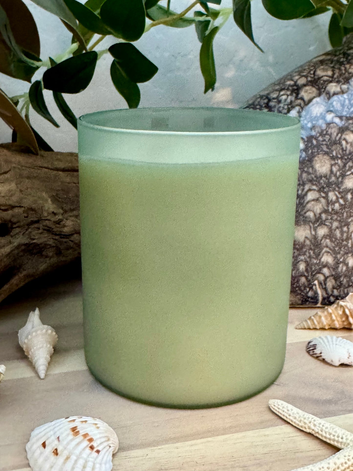 Beach House - 18oz Scented Soy Wax Candle with Ozone, Eucalyptus & Amber