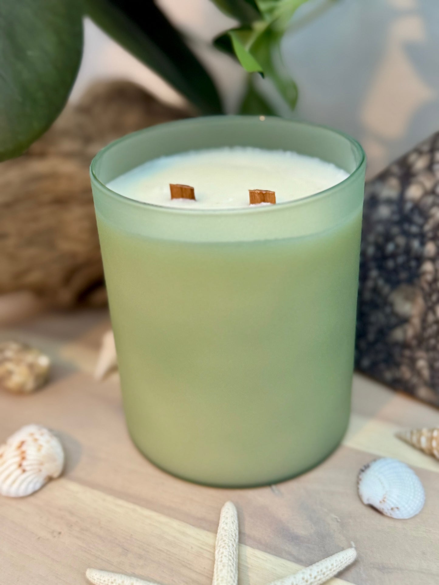 Beach House - 18oz Scented Soy Wax Candle with Ozone, Eucalyptus & Amber